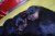 Offspring O